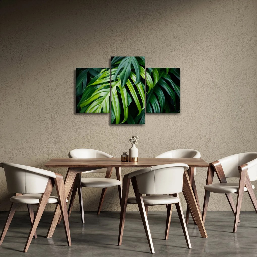 Obraz - Tropické listy (90x60 cm)