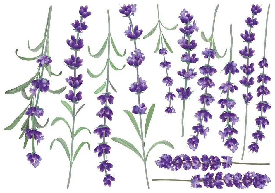 Sada samolepiek na stenu Ambiance Levanders