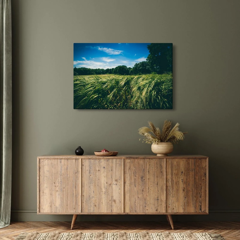 Obraz lúky a lesa (90x60 cm)