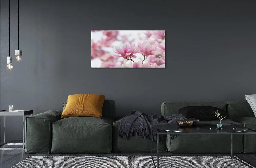 Sklenený obraz magnólia strom 125x50 cm