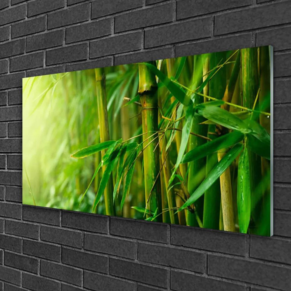 Obraz na skle Bambus stonky rastlina 100x50 cm