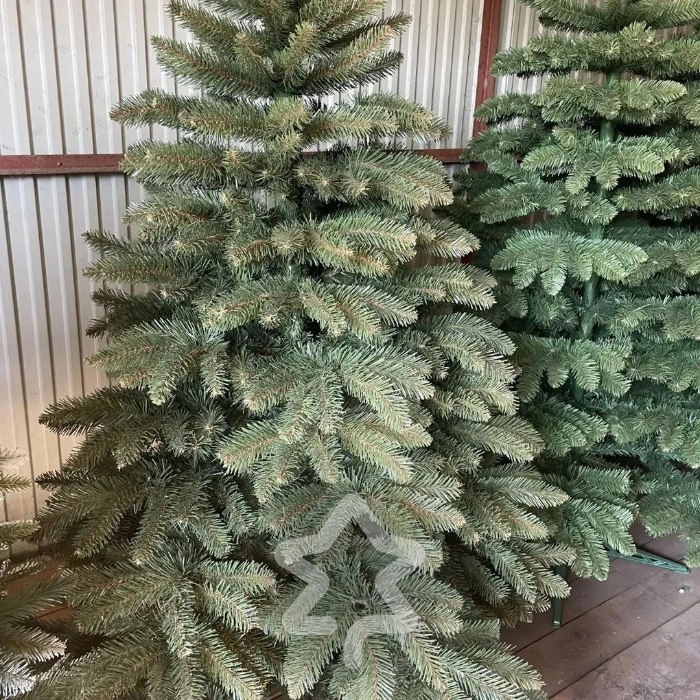 Smrek Kaukazský 2D 220 cm