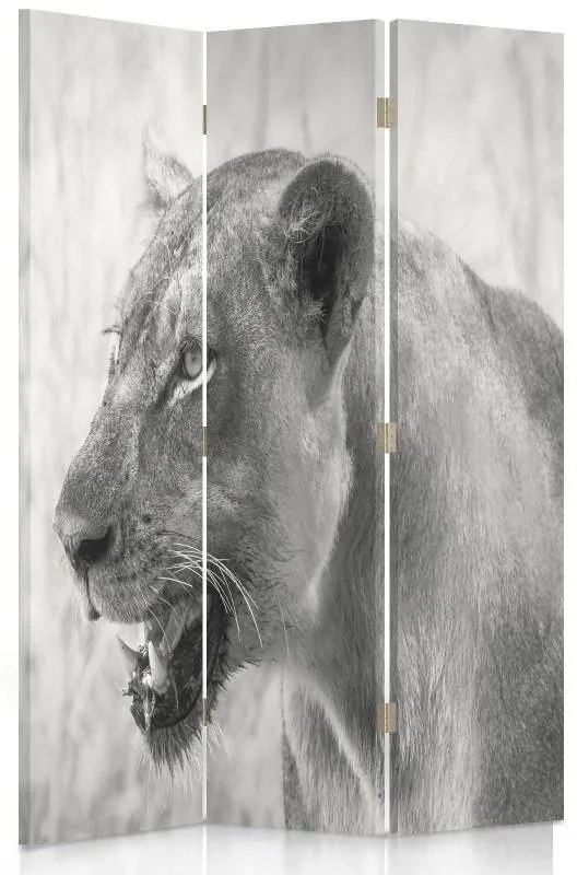 Gario Paraván Lioness Rozmery: 180 x 170 cm, Prevedenie: Klasický paraván