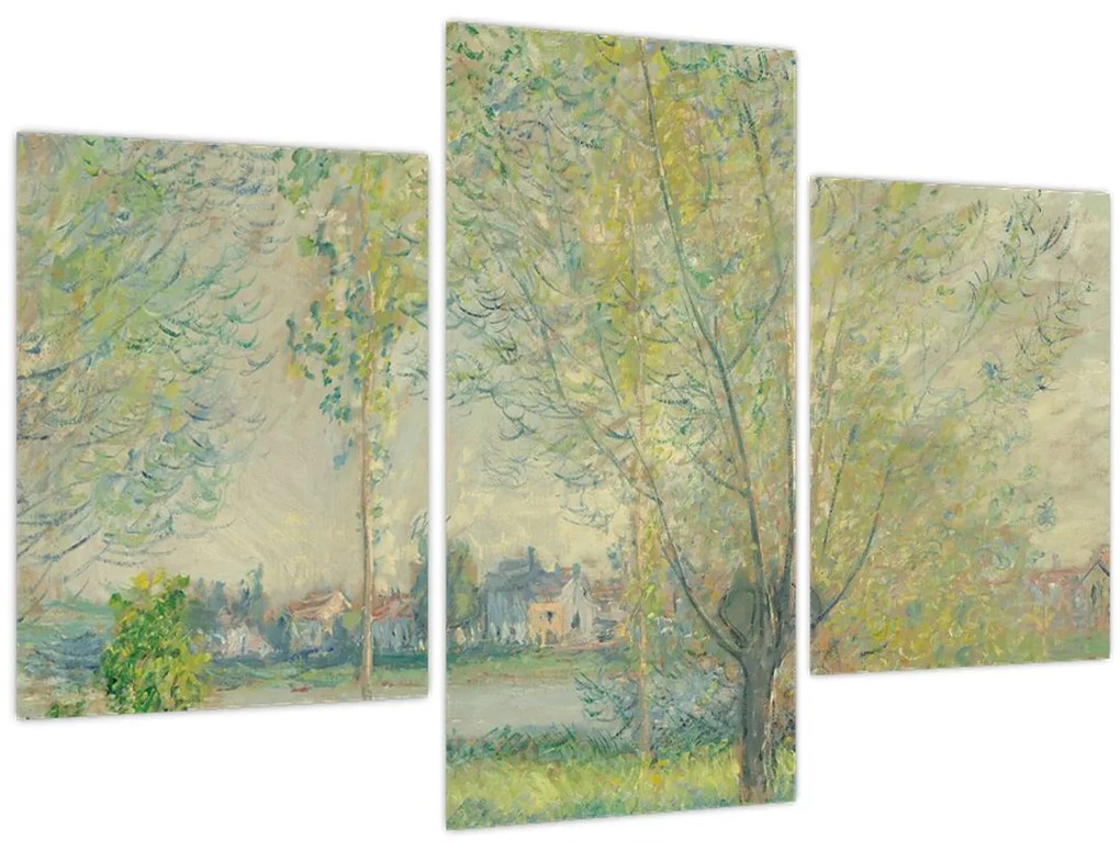 Obraz - Claude Monet, The Willows, reprodukcia (90x60 cm)