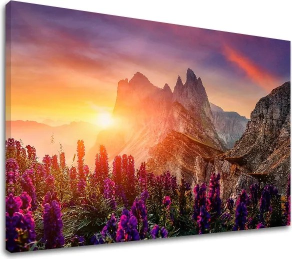 Obraz na stenu HORY_060-11