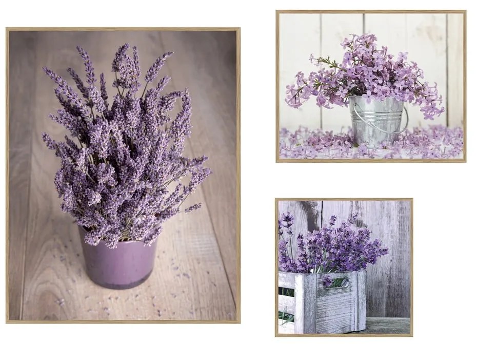 Obrazy v súprave 3 ks 40x50 cm Purple Flowers – knor