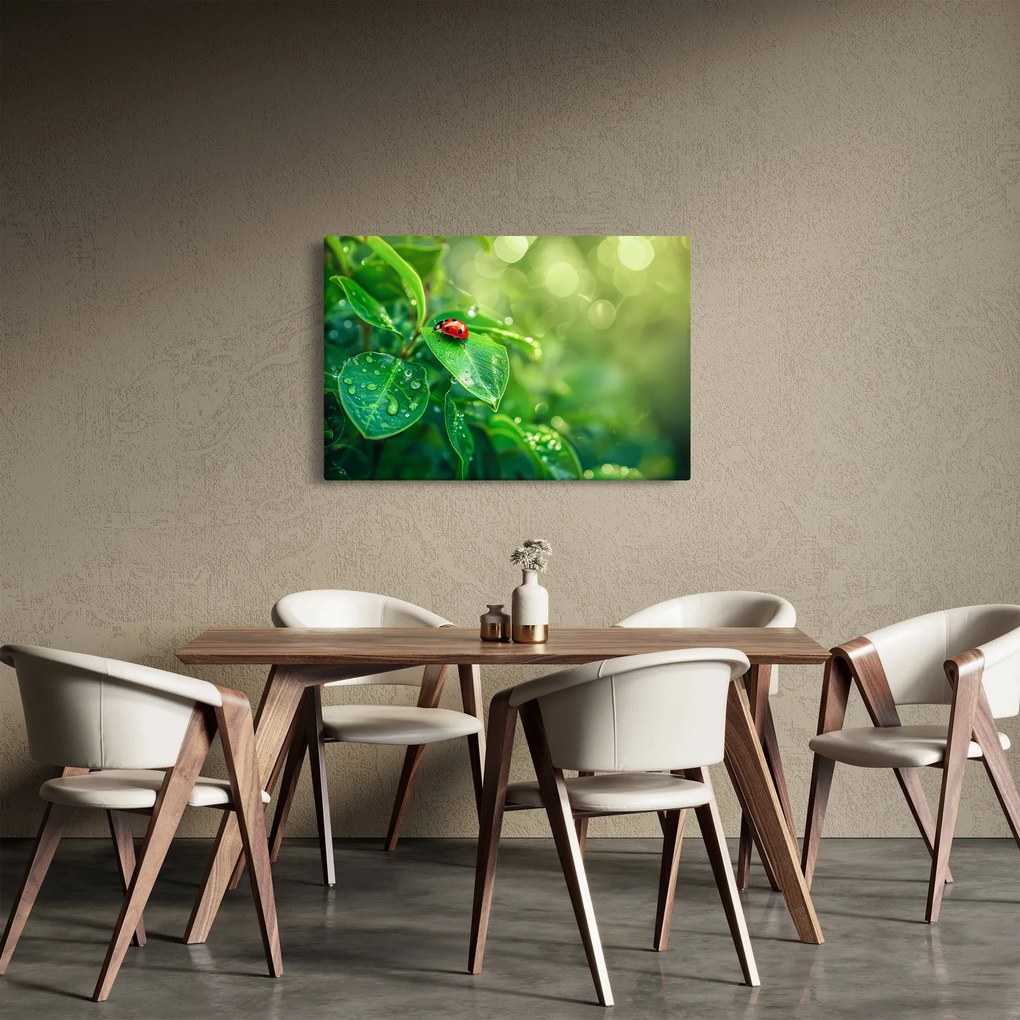 Obraz - Lienka (90x60 cm)