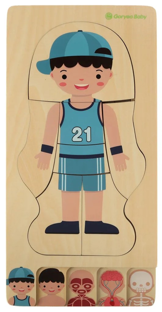 KIK Drevené vrstvené puzzle Montessori – Ľudské telo (anatómia), vzdelávacie 28 dielikov