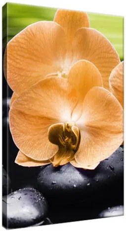 Obraz na plátne Oranžová orchidea 20x30cm 1713A_1S