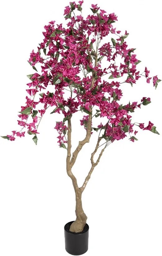 Stromček s ružovými kvetmi Bougainvillea Tree - 80*80*180 cm
