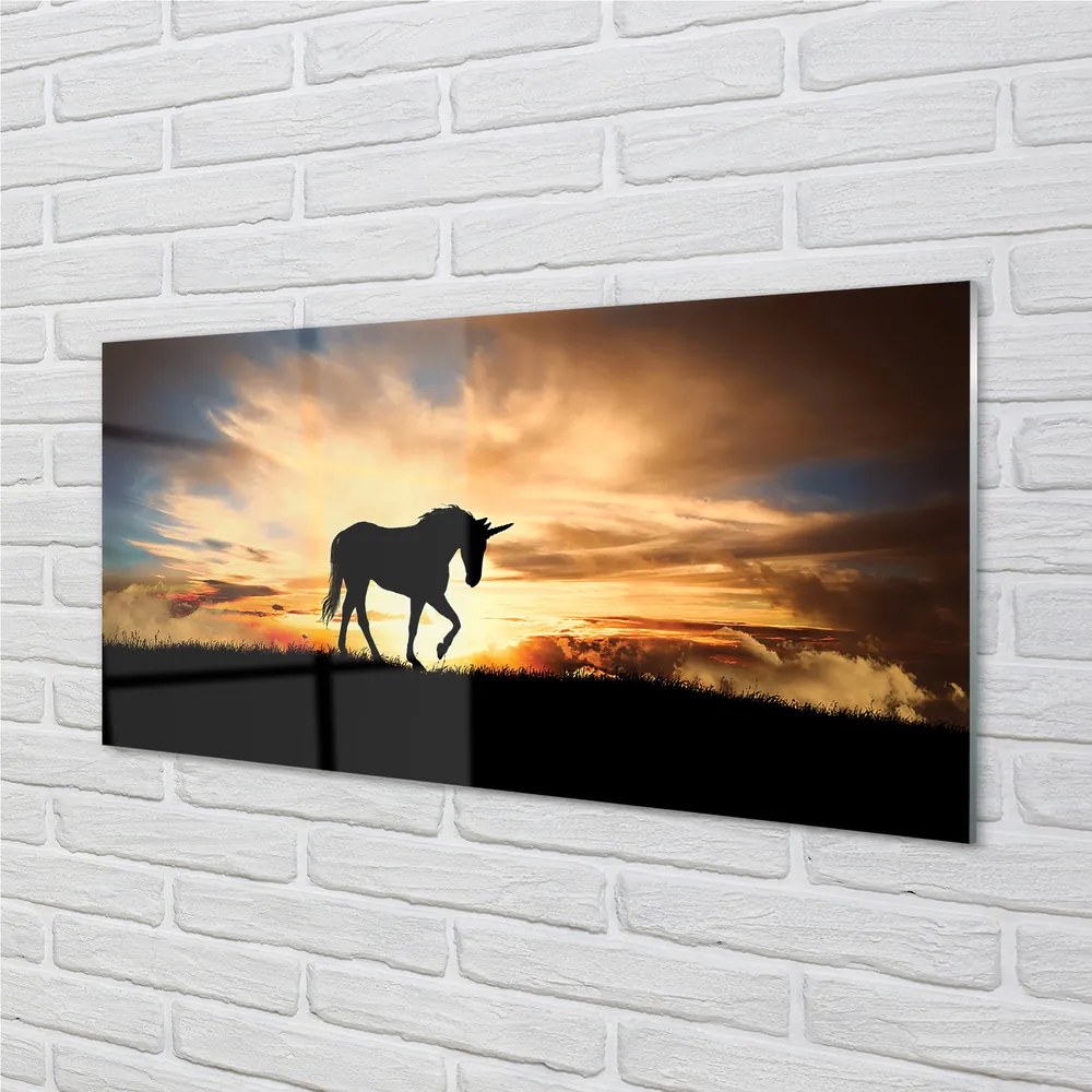 Obraz na akrylátovom skle Unicorn sunset 100x50 cm