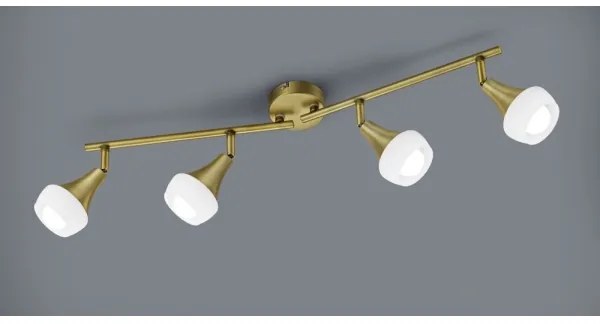 TRIO - Bodové svietidlo TRUMPET 4xE14/40W/230V