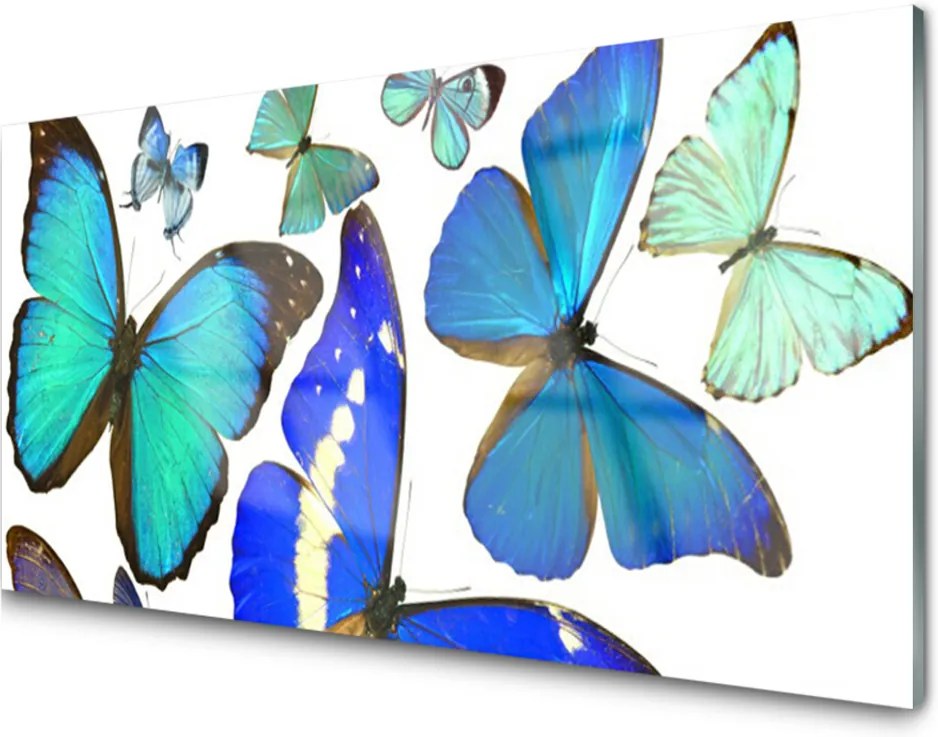 Obraz na skle Sklenený Motýle Príroda