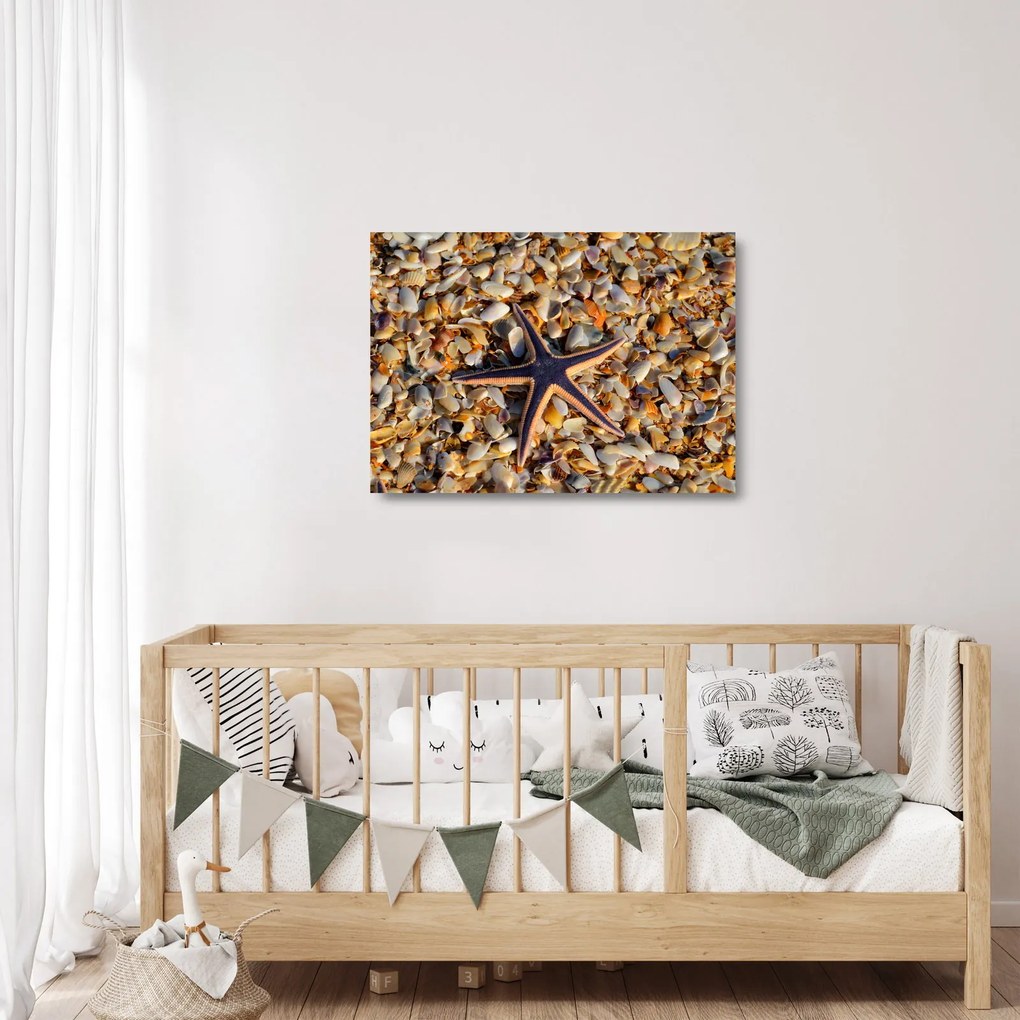 Sklenený obraz morskej hviezdice (70x50 cm)