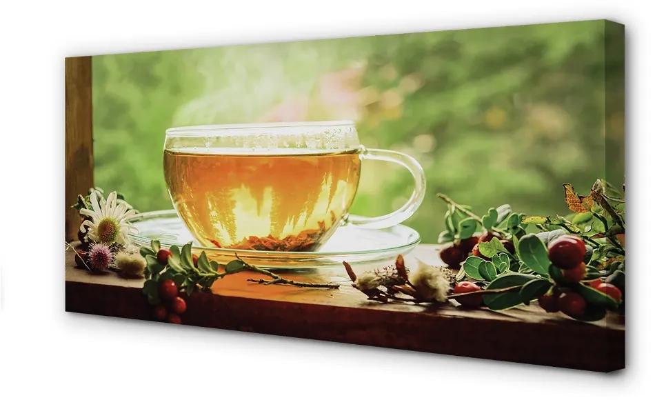 Obraz canvas čaju byliny horúce 140x70 cm