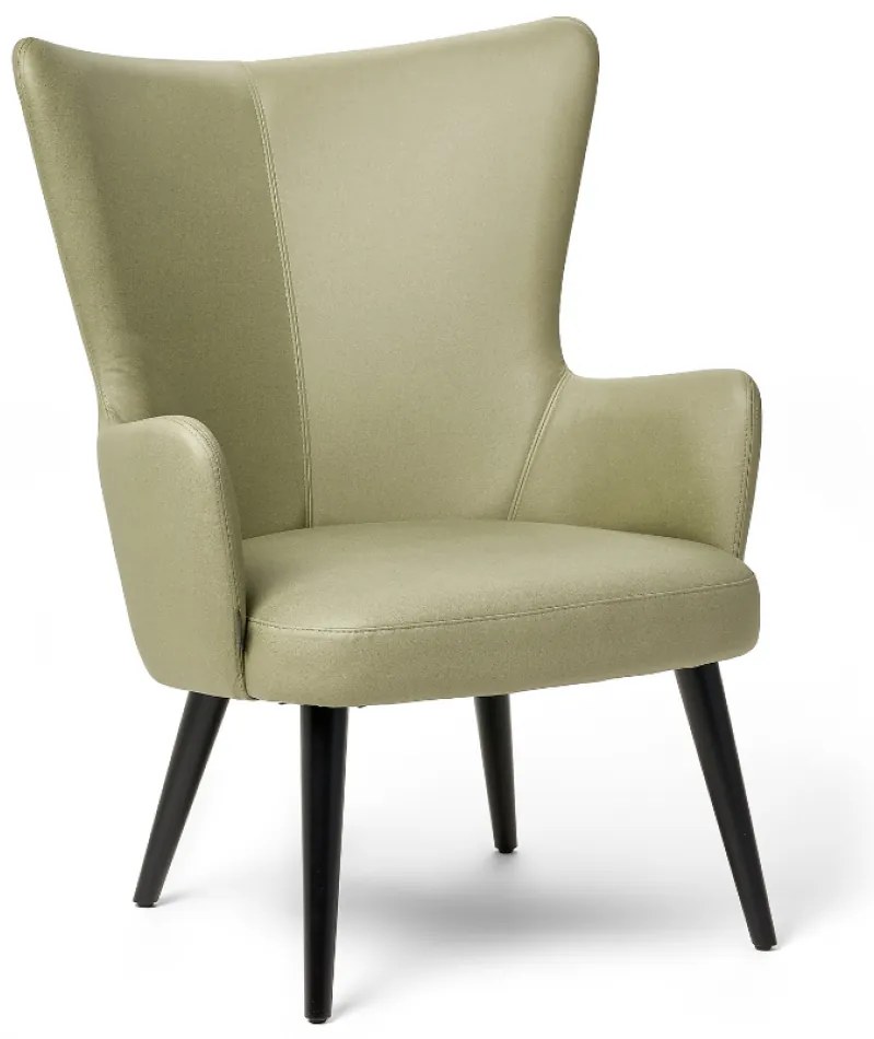 CLARA LOUNGE KRESLO kreslo