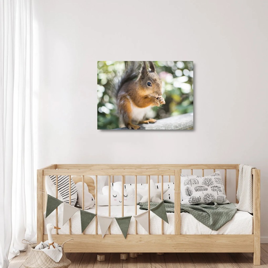Sklenený obraz veveričky (70x50 cm)