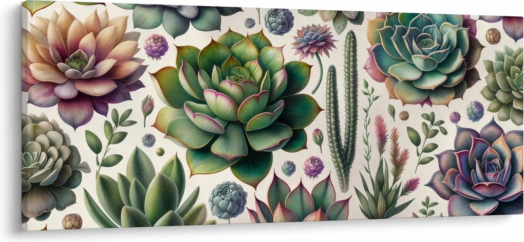 Obraz - Sukulenty (120x50 cm)