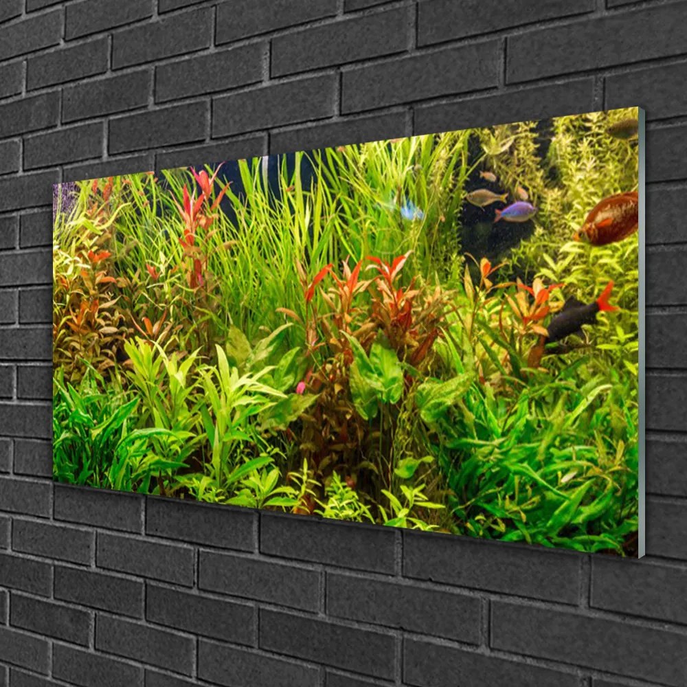 Skleneny obraz Akvárium rybičky rastliny 100x50 cm