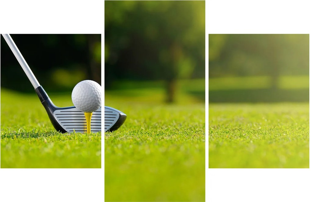 Obraz - Golf (90x60 cm)
