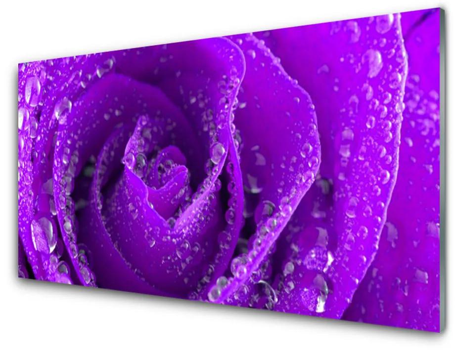 Nástenný panel  Ruže kvet 120x60 cm