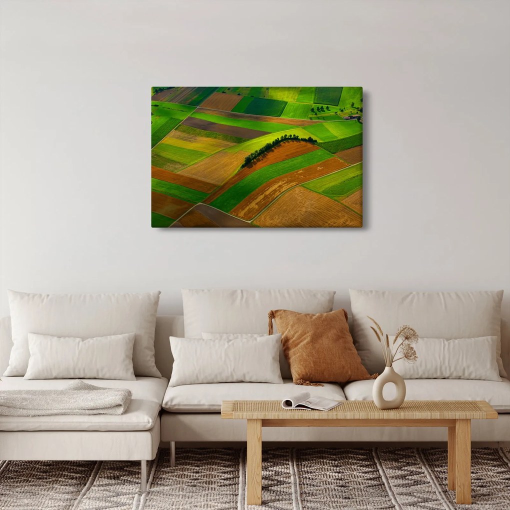 Obraz - Polia, lúky (90x60 cm)