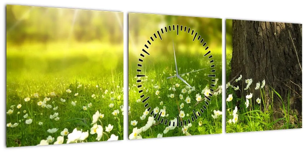 Obraz paseky a kvetín (s hodinami) (90x30 cm)