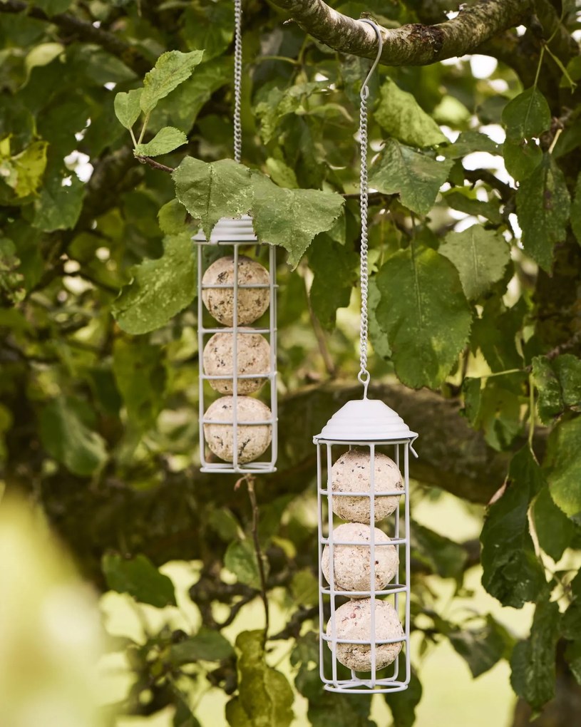 IB Laursen Kŕmidlo pre vtáky 1 ks