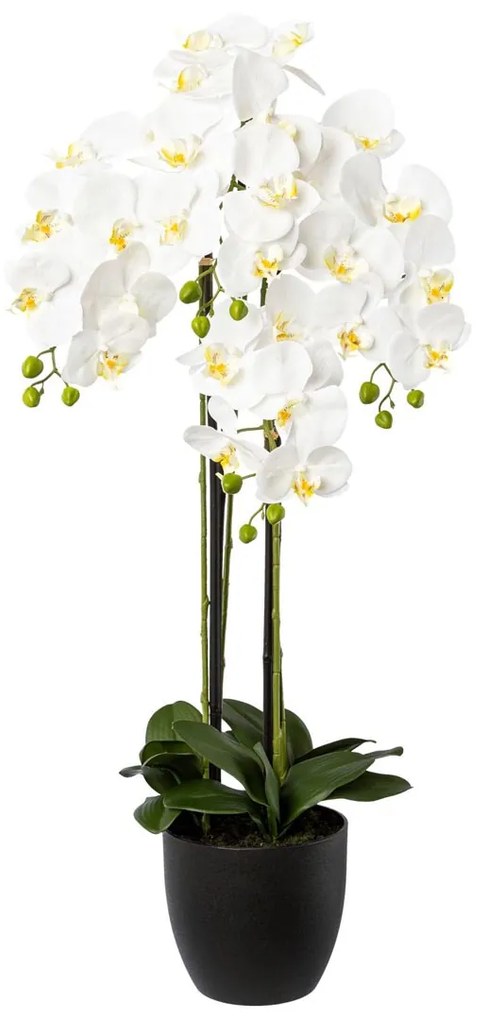 Gasper Orchidea x 4 v živicovom kvetináči, 99 cm, biela