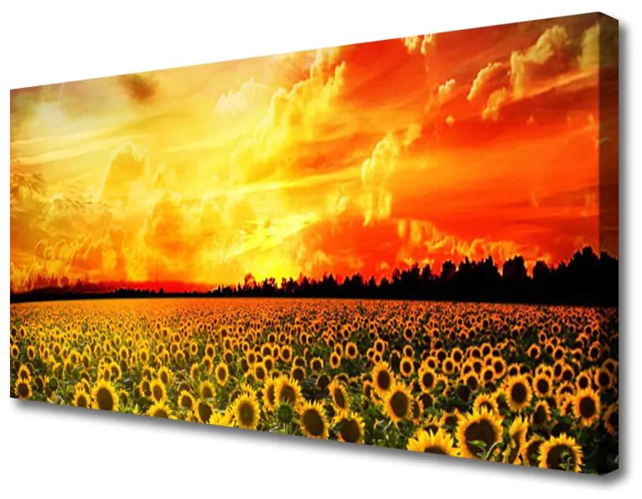 Obraz Canvas Lúka slnečnica kvety 140x70cm