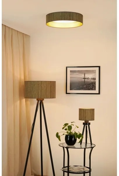 Brilagi - LED stmievateľné svietidlo VEGAS SHINE LED/24W/230V hnedá/zlatá + diaľkové ovládanie