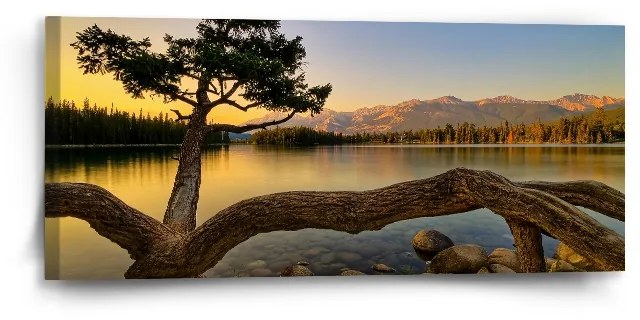 Sablio Obraz Strom pri jazere - 110x50 cm