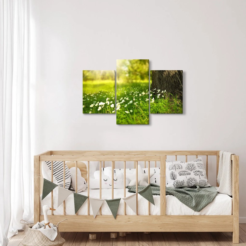 Obraz paseky a kvetín (90x60 cm)