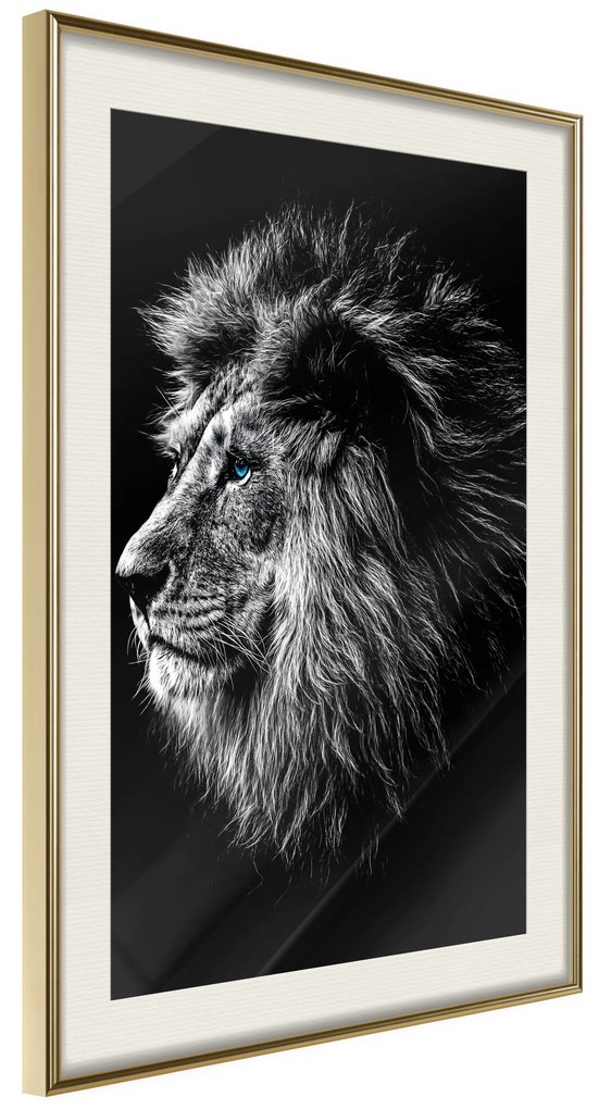 Artgeist Plagát - Blue-eyed Lion [Poster] Veľkosť: 20x30, Verzia: Čierny rám s passe-partout