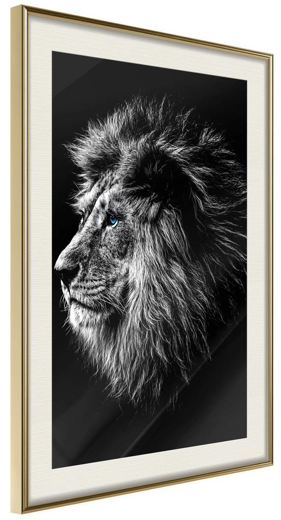 Artgeist Plagát - Blue-eyed Lion [Poster] Veľkosť: 30x45, Verzia: Zlatý rám s passe-partout