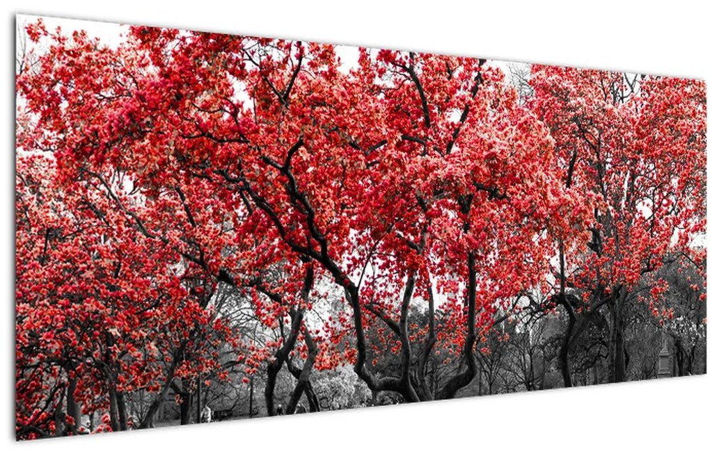 Obraz - Červené stromy, Central Park, New York (120x50 cm)