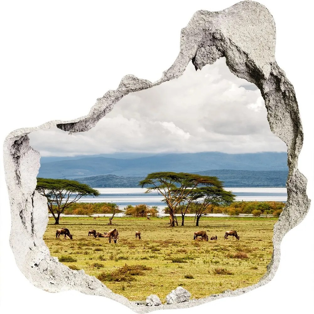 Nálepka fototapeta 3D výhľad Jazero Naivasha WallHole-75x75-piask-60219348