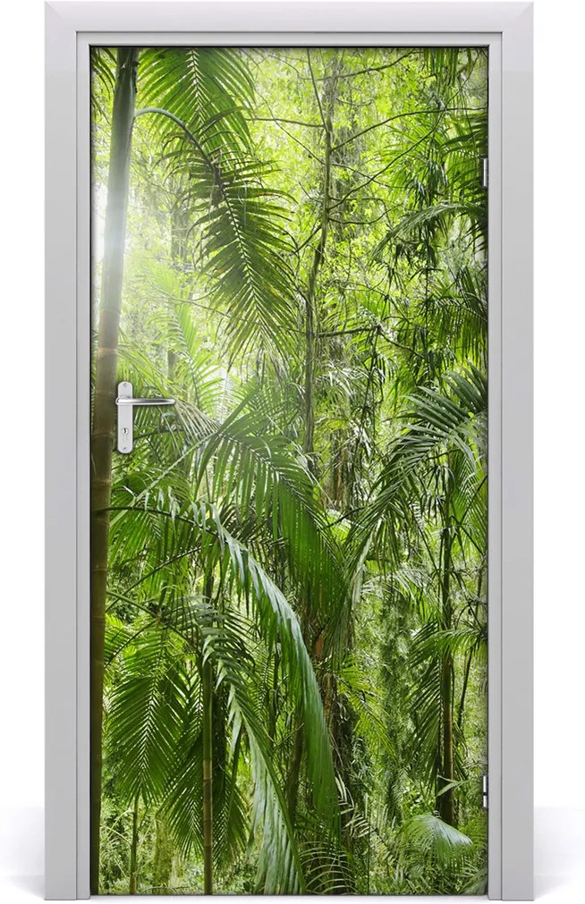 Fototapeta na dvere  dažďový les
