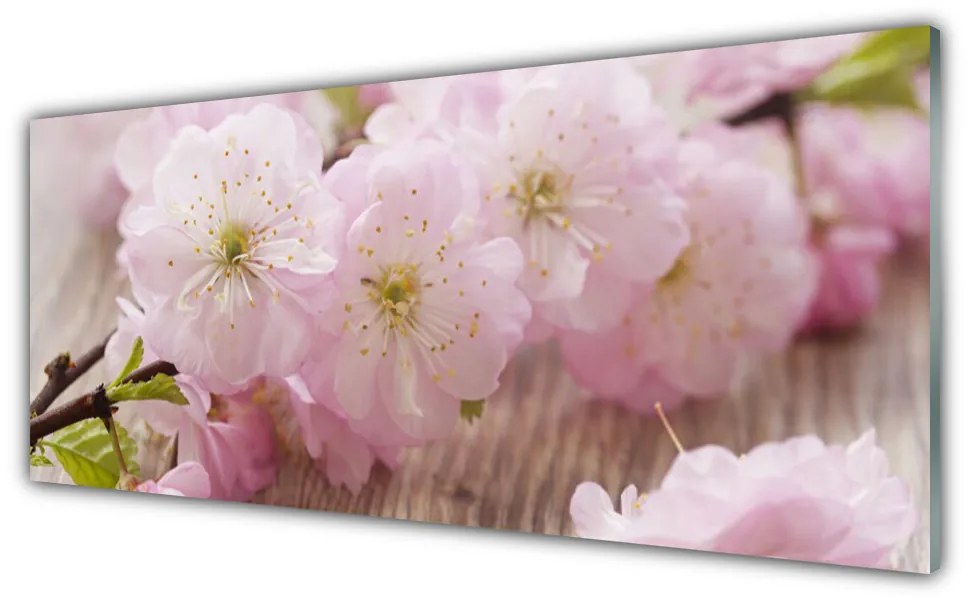 Obraz plexi Vetvy kvety plátky príroda 125x50 cm