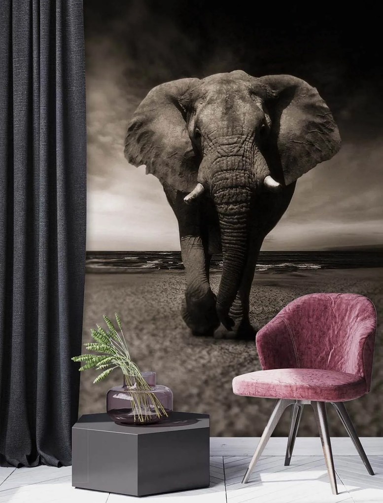 Gario Fototapeta Tmavý slon Materiál: Vliesová, Rozmery: 150 x 210 cm