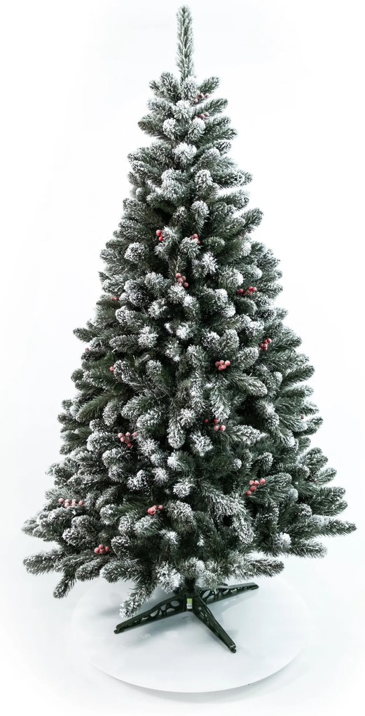 Limpol Borovica Iza s červenými bobuľami zasnežená Výška stromčeka: 220 cm