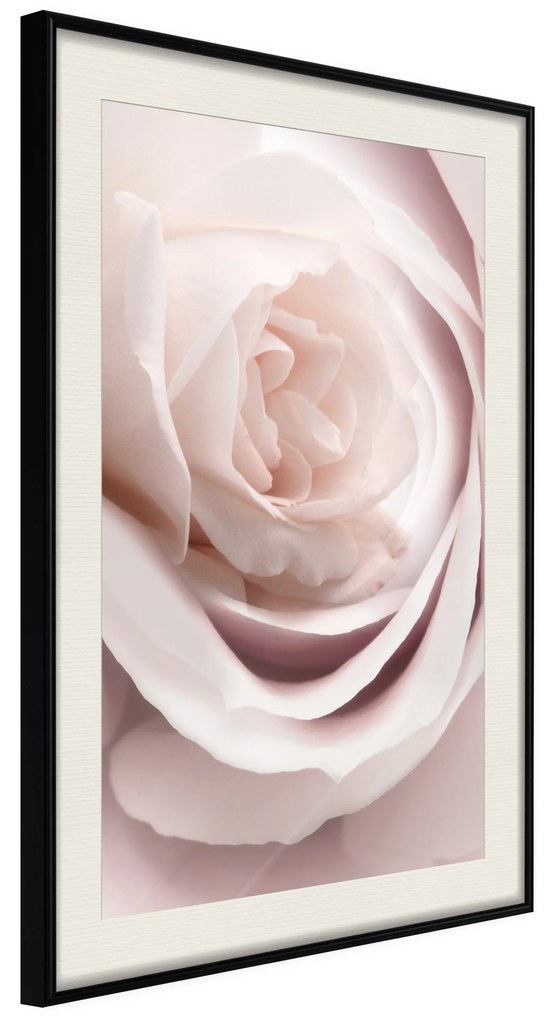 Artgeist Plagát - Porcelain Rose [Poster] Veľkosť: 40x60, Verzia: Zlatý rám