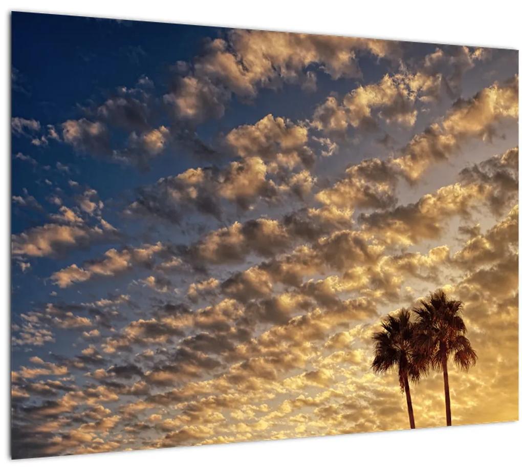Sklenený obraz - Palmy medzi mrakmi (70x50 cm)