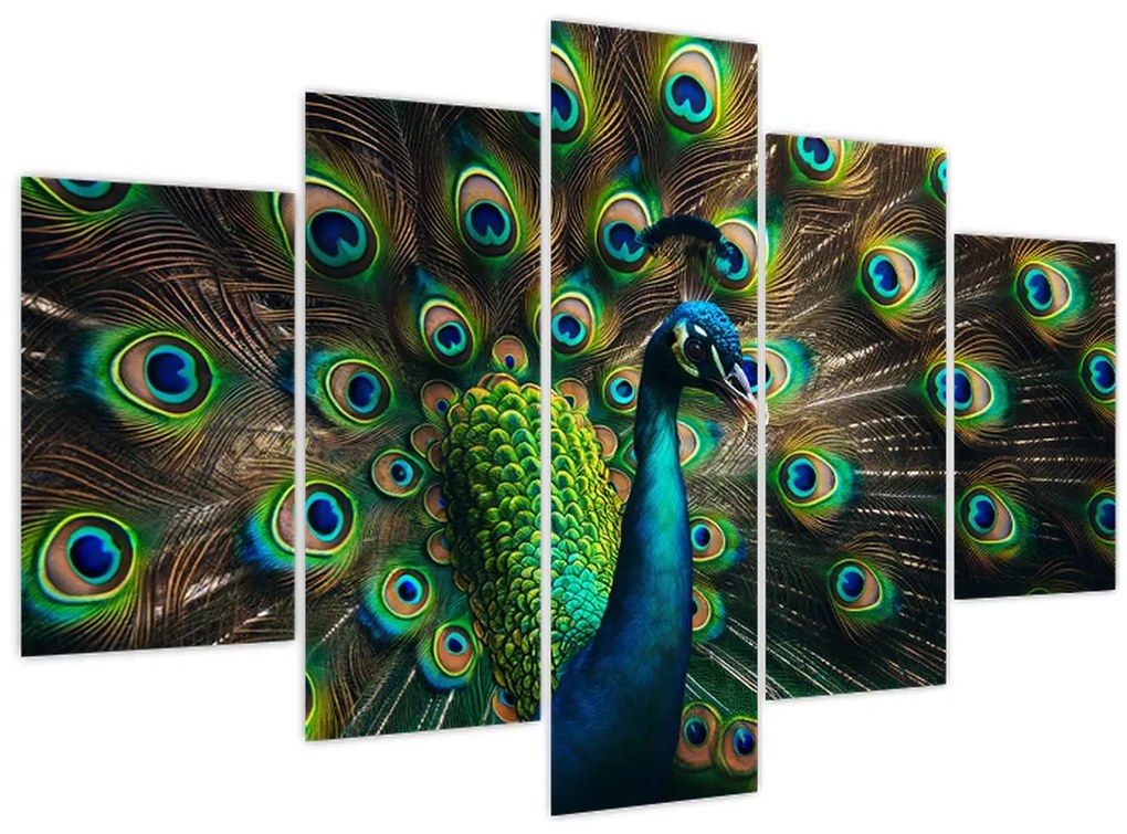 Obraz – Páv (150x105 cm)