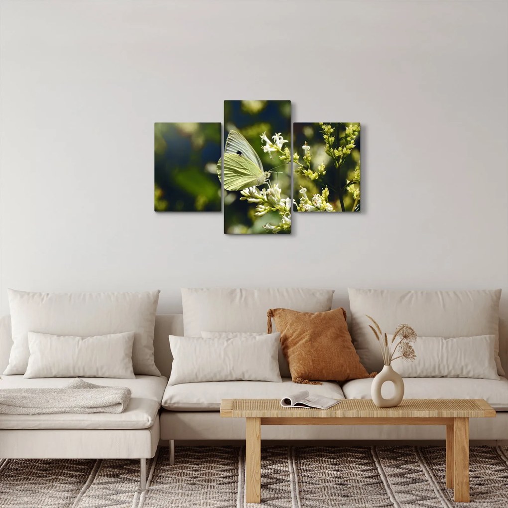 Obraz motýľa (90x60 cm)