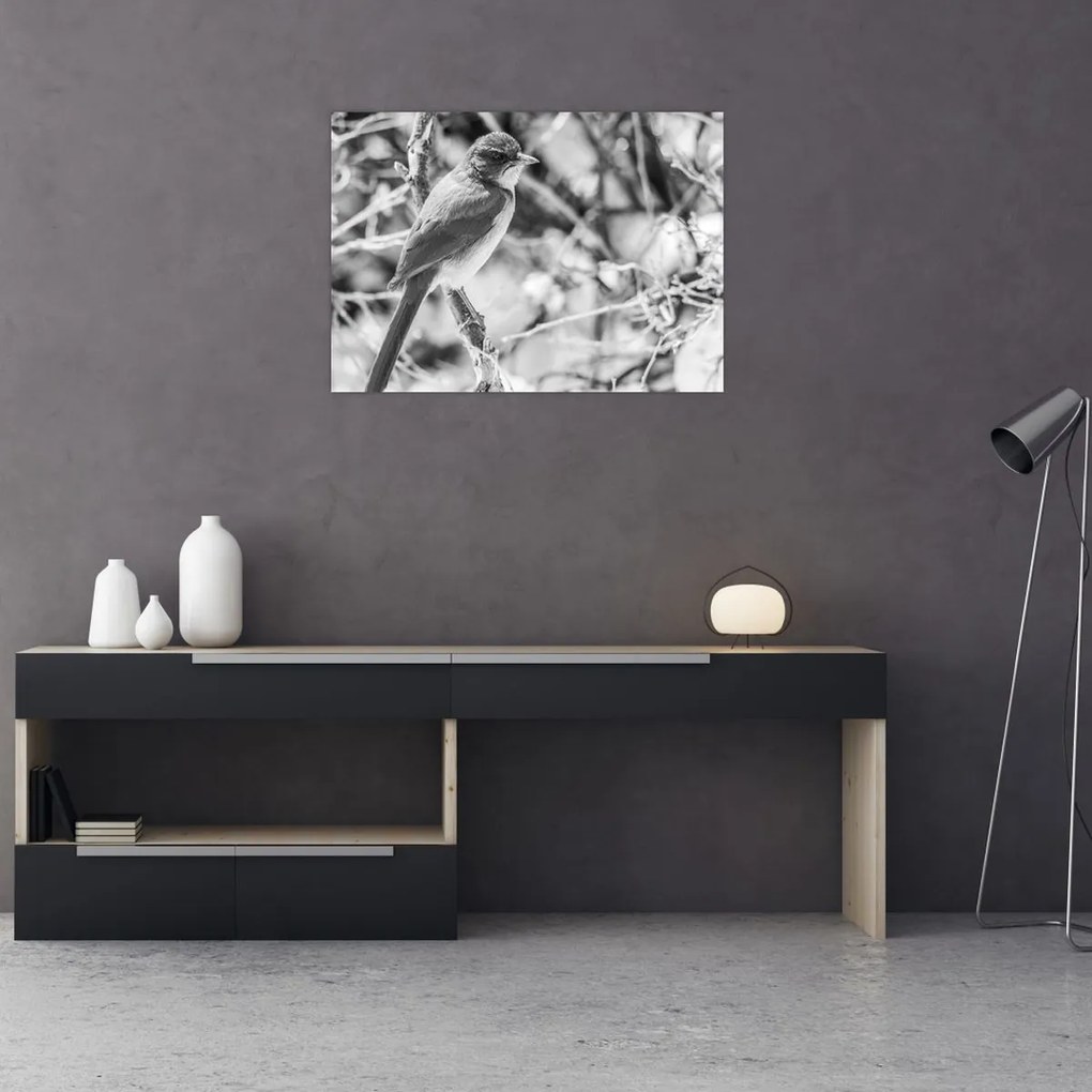 Obraz - Modrý vták v zime (70x50 cm)
