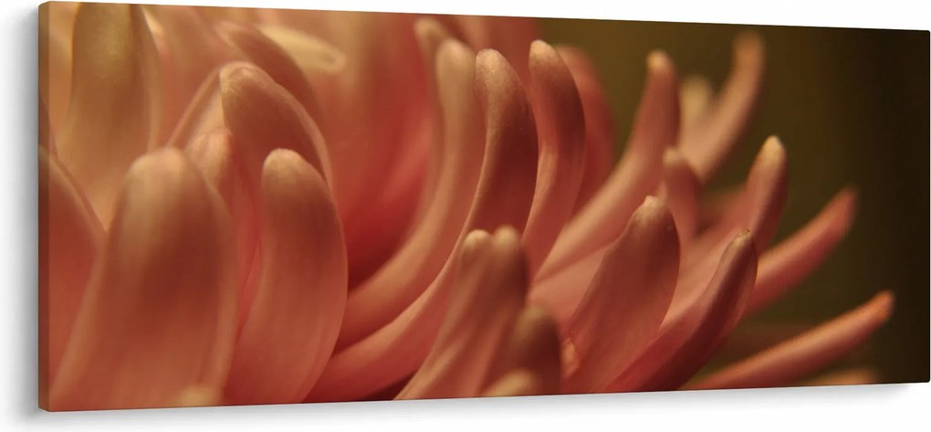Obraz detailu kvety (120x50 cm)