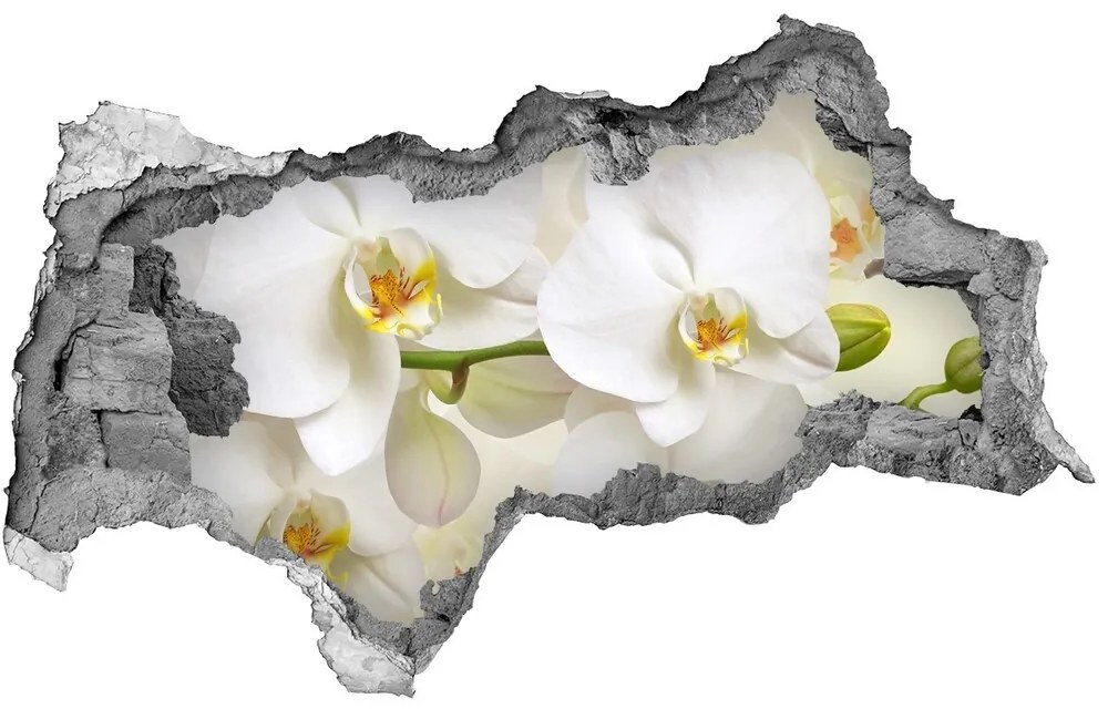 Samolepiaca nálepka fototapeta Orchidea nd-b-123330197