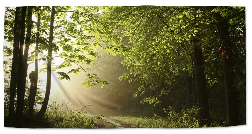 Sablio Uterák Lesná cestička - 50x100 cm