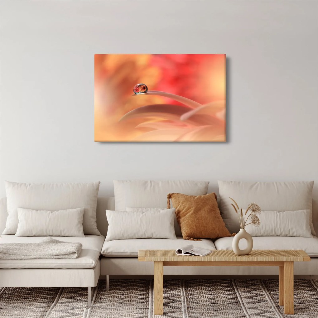 Obraz kvetinové kvapky rosy (90x60 cm)